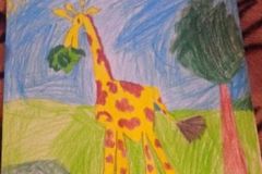 103984053_632635317338459_5483406825035438045_n