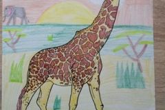 104168476_2801144123345356_5318450994652576208_n