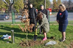 dbniepodlegoscikapsuacasu2