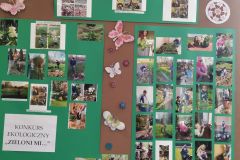 192277011_1190498428134916_4869902833032389126_n