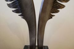 IMG_20210217_080034