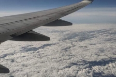 244764162_329677072293077_7304278767229448337_n