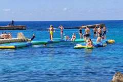 246603891_580383616345748_3085299127591146655_n