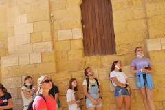 246636773_468060194555795_5121145178589779466_n