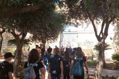 246985830_907436249911494_886289842162306802_n