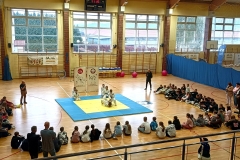 24.1