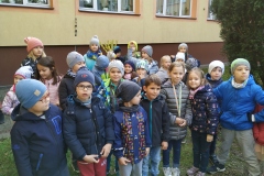 IMG_20191010_145125